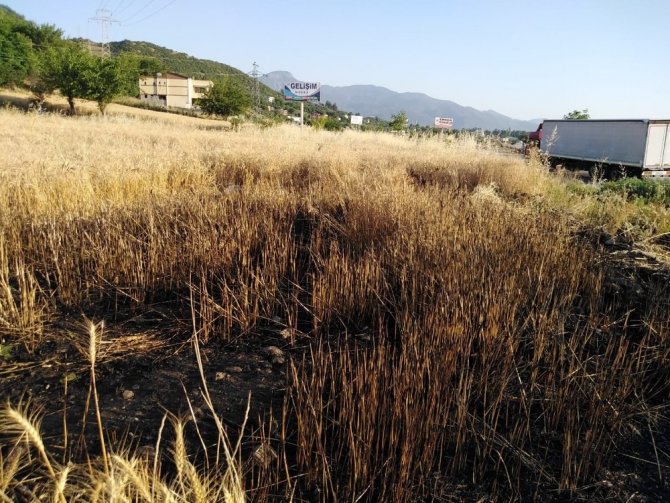 Patlayan trafo buğday tarlasını yaktı