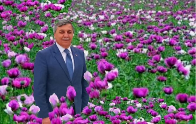 Haşhaş tarlalarında açan mor ve beyaz çiçekler görsel şölen oluşturuyor