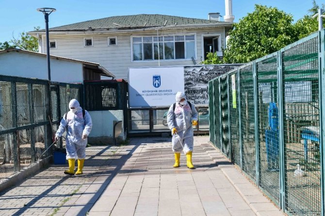 Sincan Hayvanat Bahçesi ziyaretçilerini bekliyor