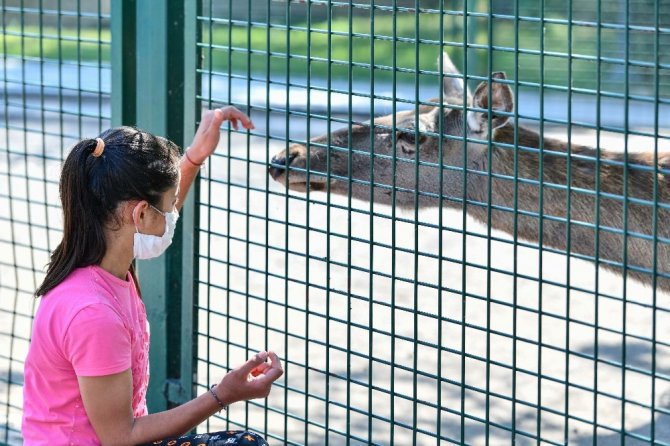 Sincan Hayvanat Bahçesi ziyaretçilerini bekliyor