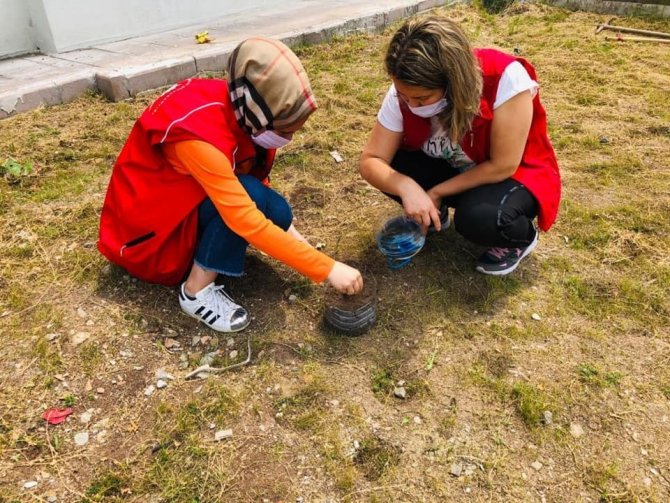 Pet şişeden saksı yapıp, tohum ektiler