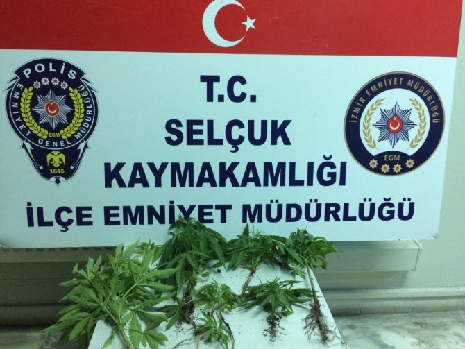 Selçuk’ta polis hırsızları kıskıvrak yakaladı