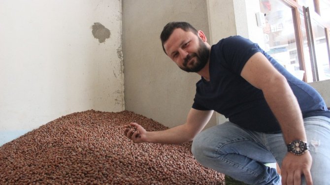 Bu sene fındıkta rekolte düşük