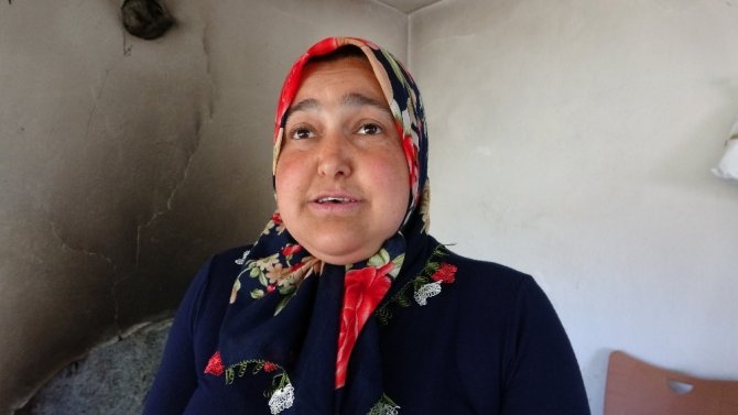 Sarı kız örümceği akrebin düşmanı