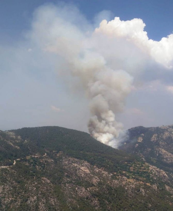 Milas’taki orman yangını kontrol altına alındı