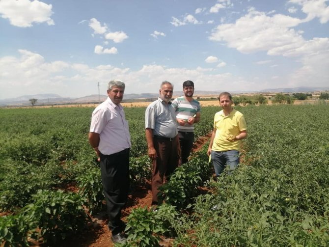 Kahta’daki sebze üreticileri bilgilendiriliyor