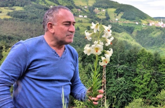 Bu çiçeği kopartmanın cezası 73 bin lira