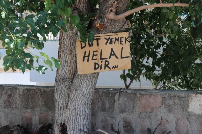 Ağaçtaki dutları yemek isteyen vatandaşlara not bıraktı