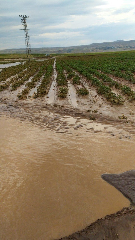 Ahlat’ta sel suları ekili alanlara ve sulama kanallarına zarar verdi