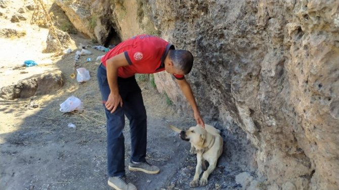20 metrelik sarnıca düşen köpek halatla kurtarıldı