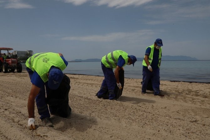 Aydın Büyükşehir Belediyesi’nden sahil temizliği