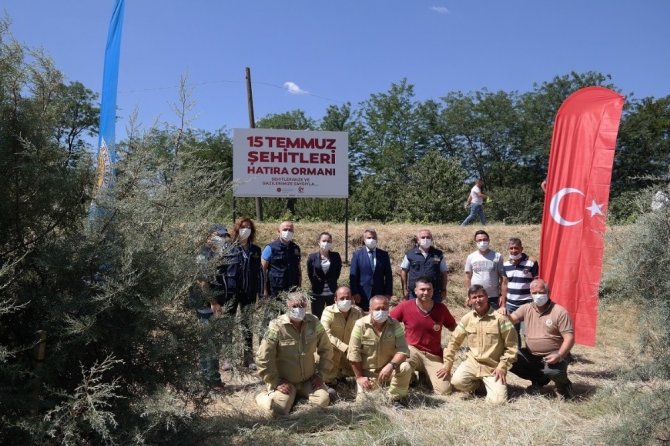 Edirne’de 15 Temmuz Şehitleri Hatıra Ormanı’na dikilen fidanların bakımı yapıldı