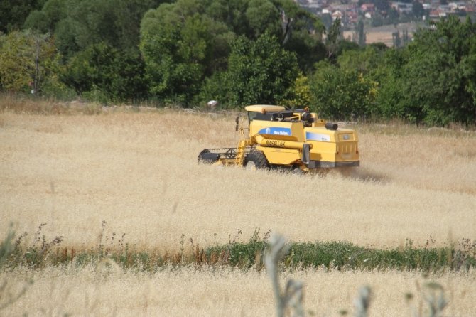 Beyşehir’de hububat tarlalarında hasat devam ediyor