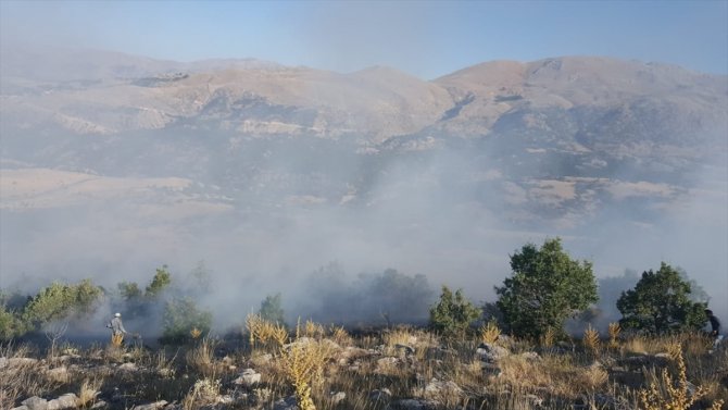GÜNCELLEME - Malatya'da orman yangını