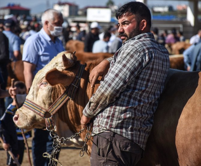 Doğu Anadolu'daki hayvan pazarlarında arife hareketliliği