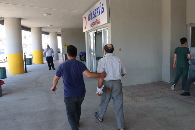 Doğu Anadolu'da "acemi kasaplar" hastanelik oldu