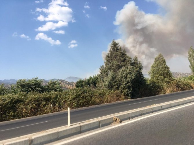 Aydın’daki yangını söndürme çalışmaları devam ediyor