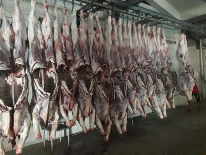 5 bin 500 aileye kurban eti dağıtıldı