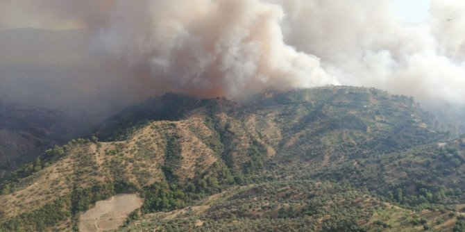Yangında 140 hektar zirai alan zarar gördü