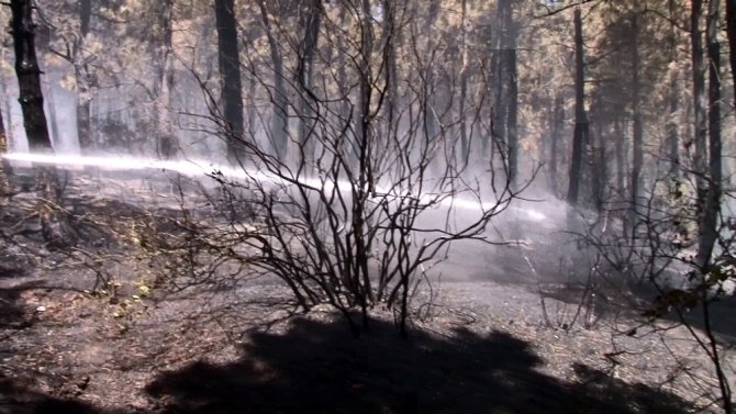 Aydos Ormanında çıkan yangın kontrol altına alındı