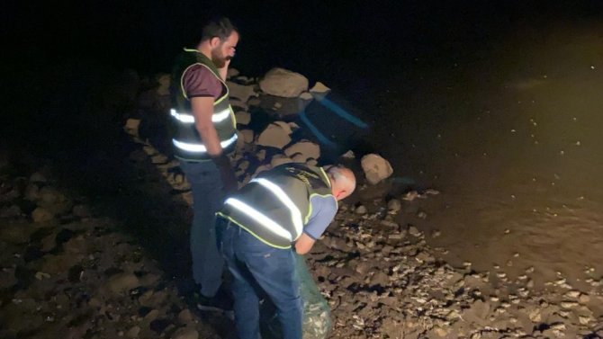 İdil’de kaçak kurbağa toplayanlara 737 bin lira ceza
