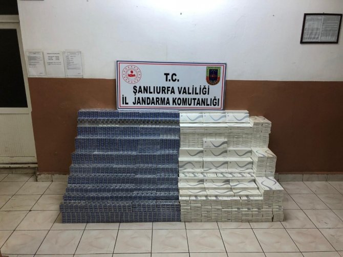 Şanlıurfa’da binlerce paket kaçak sigara ele geçirildi