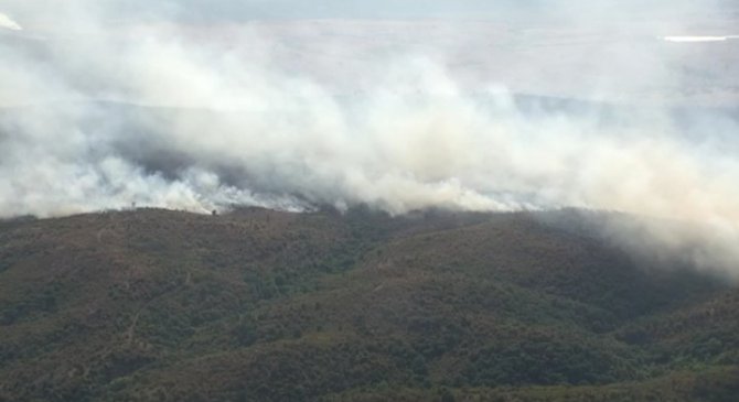 Bulgaristan’daki orman yangını Türkiye sınırına ulaştı