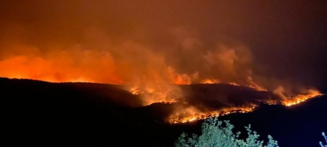 Bulgaristan’daki orman yangını Türkiye sınırına ulaştı