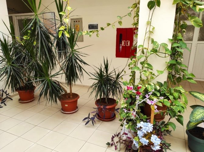 Çalışanların yeşil sevgisi sağlık ocağını botanik bahçeye çevirdi