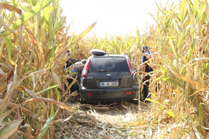 Yoldan çıkan otomobil mısır tarlasına uçtu: 3 yaralı