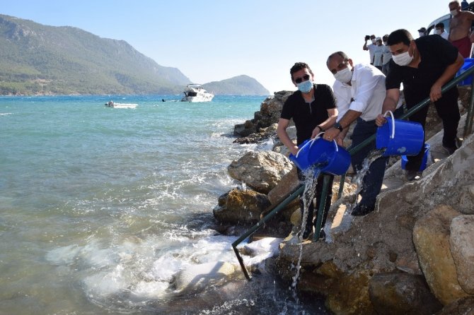 Kumluca’da 5 bin levrek yavrusu denizle buluştu