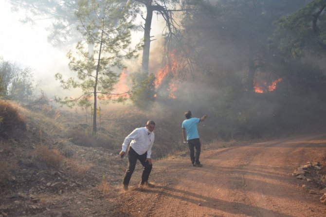 Tatil merkezi Adrasan’da 60 hektarlık ormanlık alan zarar gördü