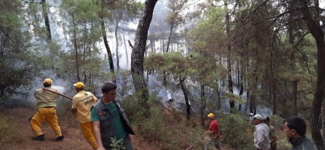 Köylüler seferber oldu, ormanda çıkan yangın kısa sürede söndürüldü