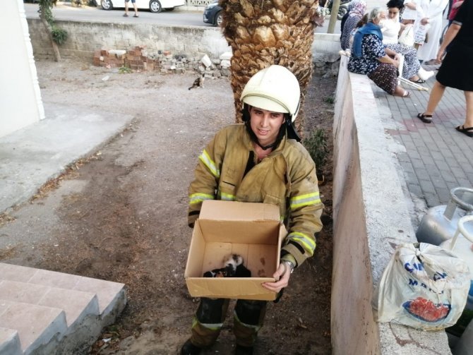 İzmir’de alevlerin arasında kalan 5 yavru kedi, itfaiye ekiplerince kurtarıldı