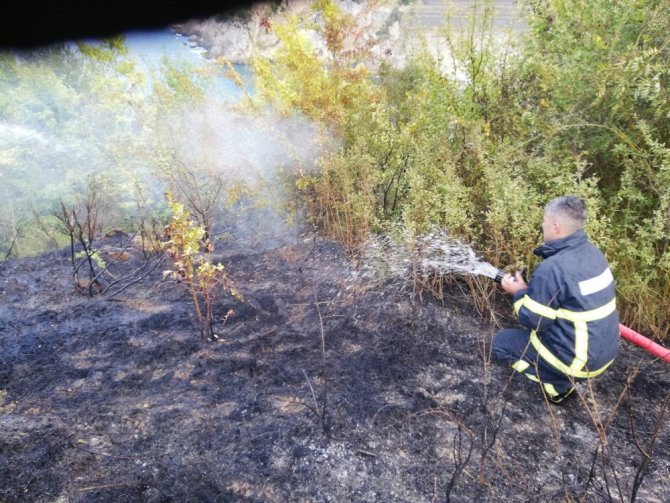 Ormanlık alanda çıkan yangın ekipleri harekete geçirdi
