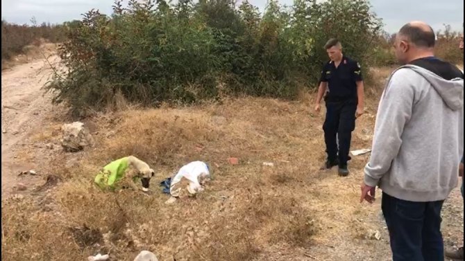 Vahşetin böylesi...Çanakkale’de, çuvala koyularak ölüme terkedilen köpeği jandarma kurtardı