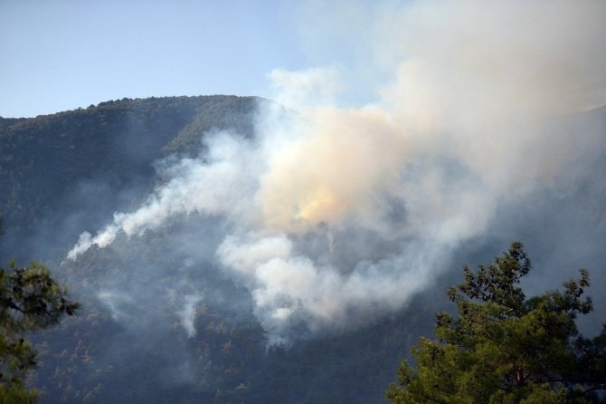 Yangının ardından Eskişehir Orman Bölge Müdürü Temel’den açıklama