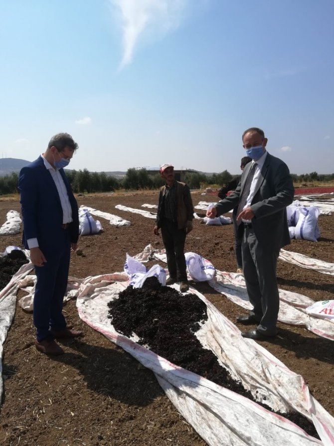 Üzüm üreticileri Birliği Başkanı Şıh Mehmet Yalçın oldu