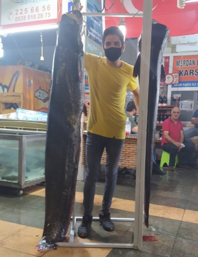 Kahramanmaraş’ta 2 metrelik balık yakalandı
