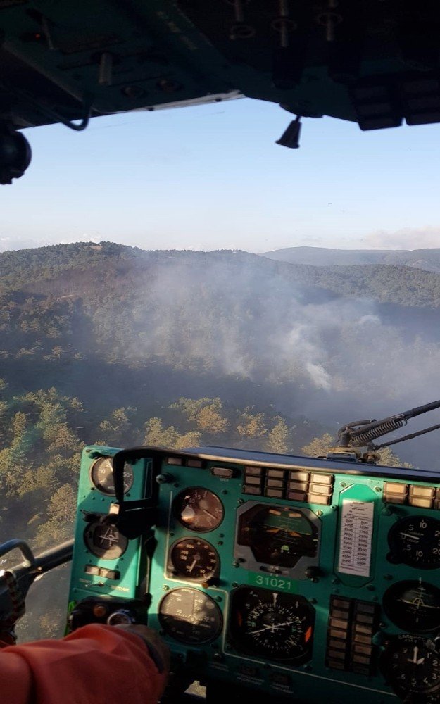20 hektar ormanlık alan yandı