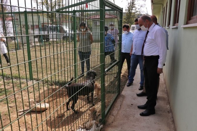 Baskan Ozlu Hayvan Barinagi Ilgi Odagi Oluyor