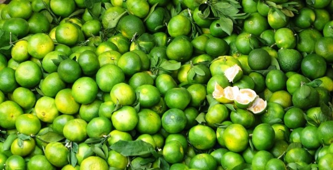 Kışlık meyve ve sebzeler tezgahlarda yerini almaya başladı