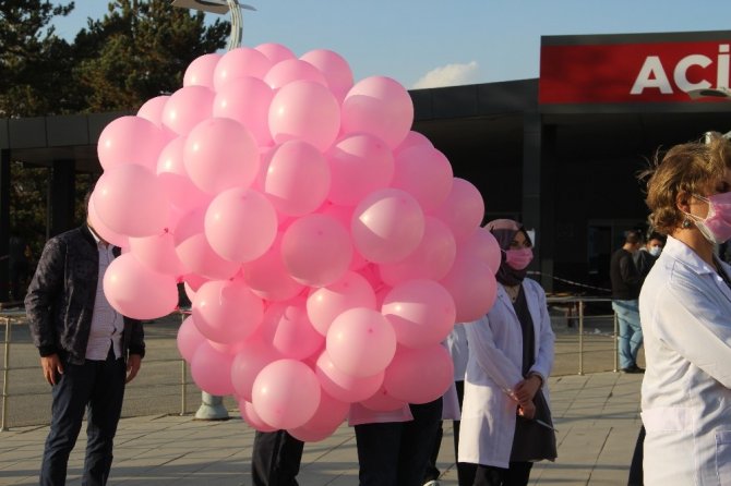 Meme kanserine dikkat çekmek için pembe balon uçurdular