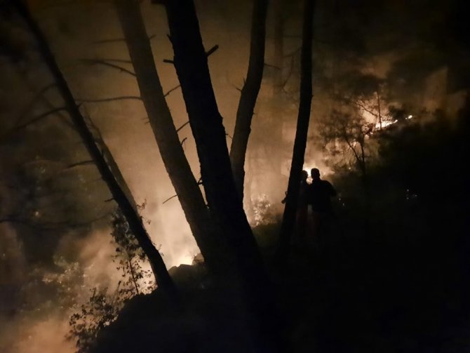 Yangın 500 metrekarelik ormanlık alana zarar verdi