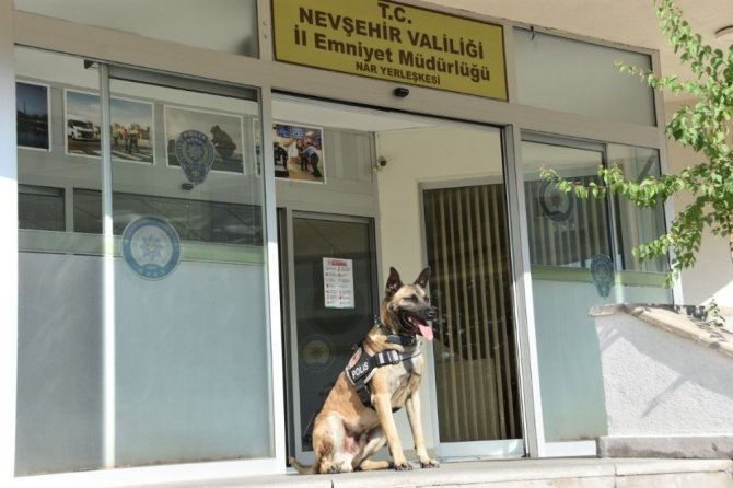 Nevşehir’de uyuşturucu taciri 1 kişi tutuklandı