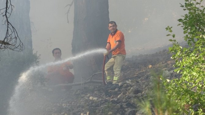 Mersin’de 1,5 hektar kızılçam ormanı zarar gördü