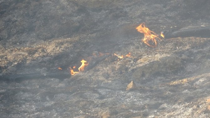Mersin’de 1,5 hektar kızılçam ormanı zarar gördü