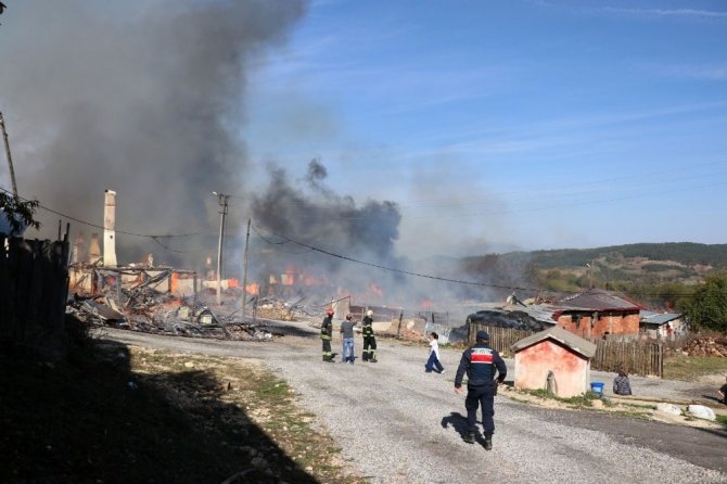Bolu’da köyde çıkan yangın 12 evi kül etti