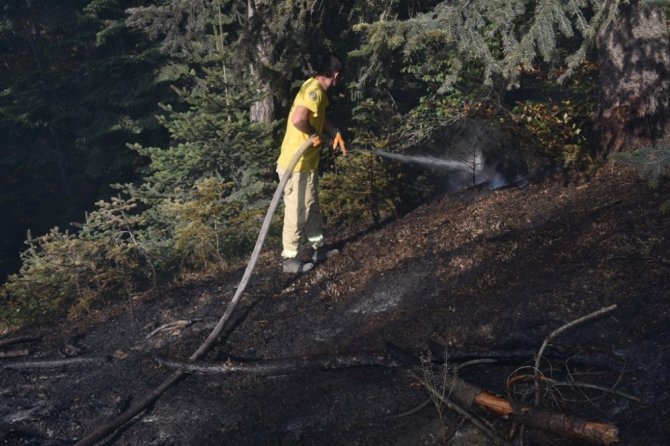 Boyabat’ta çıkan orman yangını kontrol altına alındı