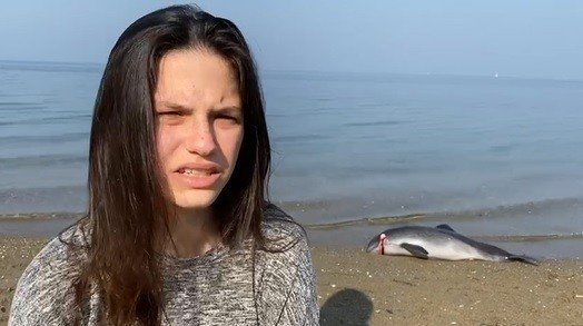 Bursa’da başından vurularak öldürülen yavru yunusun ailesi denizde şov yaptı